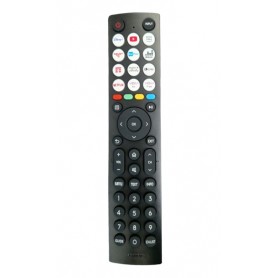 Telecomandi e Controlli Remoti TELECOMANDO ORIGINALE GENUINO HISENSE EN2Q36H