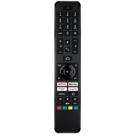 Telecomandi e Controlli Remoti TELECOMANDO ORIGINALE GENUINO PANASONIC RC45160BT 30111973